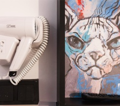 Стандарт капсула в Street art