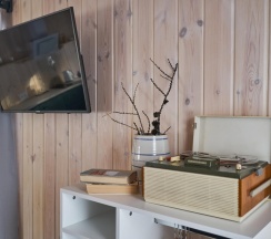 Коттедж премиум с 1 двуспальной кроватью в Лесной переулок