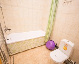 Апартаменты с 1 спальней в Графское