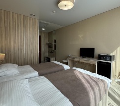 2-местный номер стандарт в Central Hotel