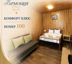 Комфорт плюс № 100 в Гармония