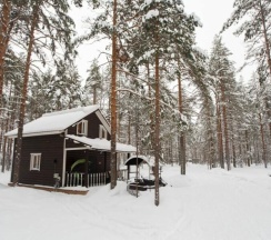 Коттедж стандарт Боровик в Северное сияние