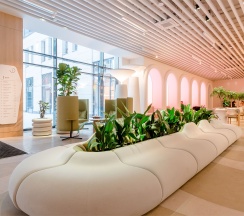 Studio Standart 19,7 в Well