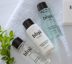 Номер стандарт семейный в blije