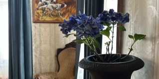 Вологда: Мини-отель Дом купчихи Ершовой