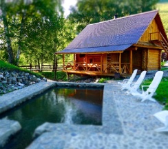 Номер в отеле в Басаргино