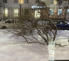 Трехместный в Good night