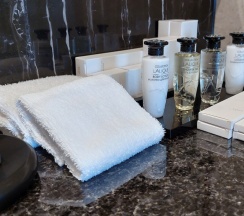 Люкс Гранд Пион в Soluxe Hotel Moscow