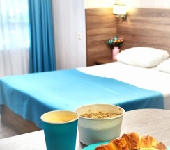 Двухместный номер Standard с балконом двуспальная кровать в Camelia