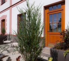 Делюкс с террасой и видом на Кремль в Генрих