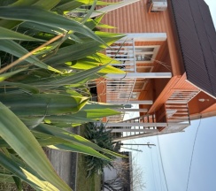 3- местный  номер Комфорт в эко-коттедже в Петрович