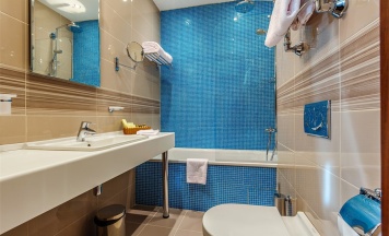 Супериор в Райкин Plaza Hotel