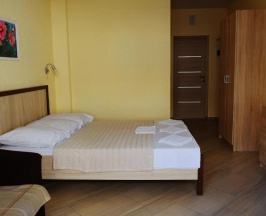 Номер комфорт с 1 двуспальной кроватью в Райc