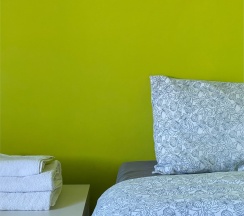 стандарт с 2 кроватями в Safari