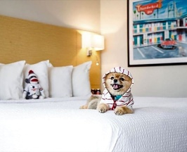Четырёхместный номер Standard в Thunderbird Inn