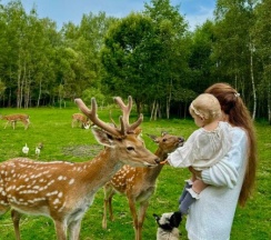 Нежный домик в Бэмби Ленд