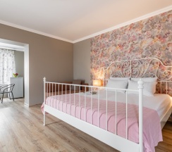 Апартаменты c 1 комнатой с балконом в Прованс