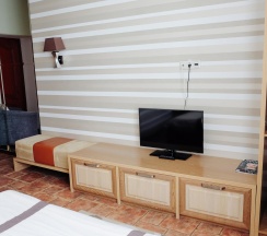 Номер улучшенный стандарт в Хабаровск