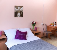 Двухместный номер с 1 кроватью  в Брусника