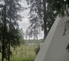 Кувакса (Типи) Romantic в Папоротник