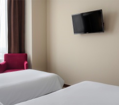 Business Twin в Gorskiy city hotel