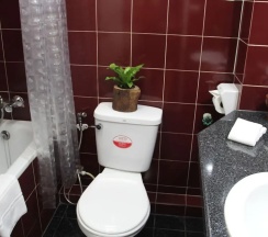 Одноместный семейный номер Standard в BS Court Boutique Residence