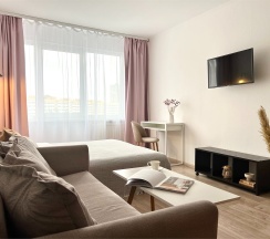 Однокомнатная квартира (Метро Ленинский проспект, 10 минут пешком) в Rauktis apartments