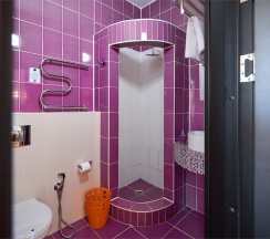 3-х местный без балкона в Диса