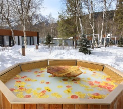 ВИЛЛА DELUXE С КУПЕЛЬЮ НА ДРОВАХ в Первый Парк Отель Архыз