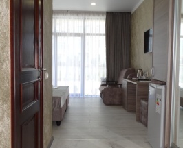 Двухместный номер Standard двуспальная кровать в Слон