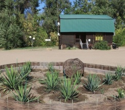 Номер 2х местный Эконом 1й этаж в Гремучий