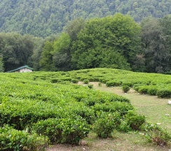 Двухместный номер с балконом в Country house