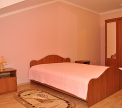 Одноместный номер Делюкс в Hotel-hall