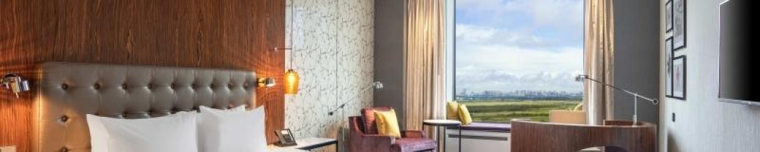 Номер стандарт с 1 двуспальной кроватью в Hilton Saint Petersburg ExpoForum