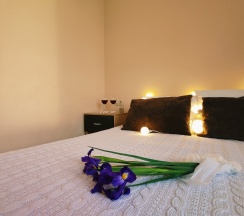 3-х местный стандарт  в Центральная