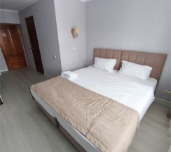 Стандарт в Паллада