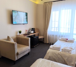 Трехместный полулюкс (DBL/SGL/Triple)  в Никольское