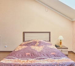 Одноместный номер Первая категория Стандартный в Гостиница