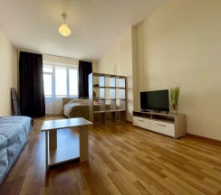 Апартаменты Standard в Квартира Pskov City 3 Mikhailovskaia 1