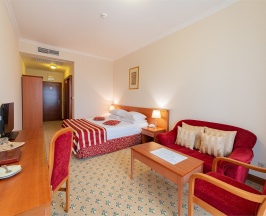 Стандарт (вид на город) с двухместной кроватью в Валентина