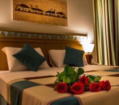 Трёхместный номер Standard с видом на бассейн в Seagull Beach Resort Families & Couples Only - All Inclusive