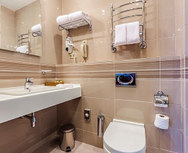 Стандарт с кухней (1 кровать) в Райкин Plaza Hotel