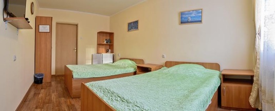 2-местный номер эконом в Подсолнухи