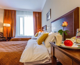 Стандарт с раздельными кроватями в Райкин Plaza Hotel