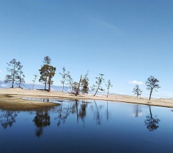 Комната в Филоксения