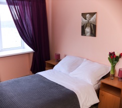 Двухместный номер с 1 кроватью  в Брусника
