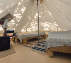 Ландышевая поляна в Котопельто