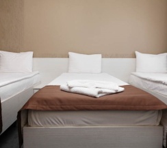 Трехместный стандартный номер в Гагар-inn