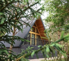 A-Frame в Green club family