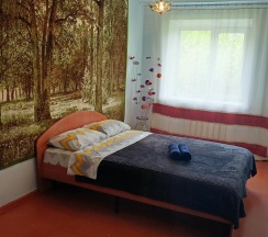 2-комнатные апартаменты стандарт Карла Маркса 45 в Rusdom Sweet Apartments (Русдом Свит) на улице Карла Маркса